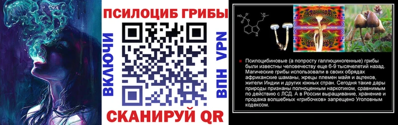 Галлюциногенные грибы мицелий  что такое   Черногорск 