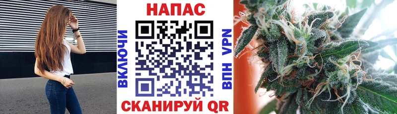 Бошки Шишки Amnesia Черногорск